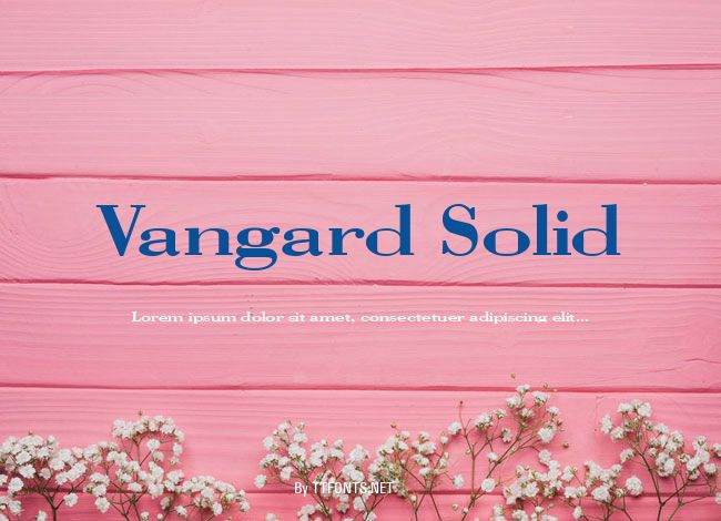 Vangard Solid example